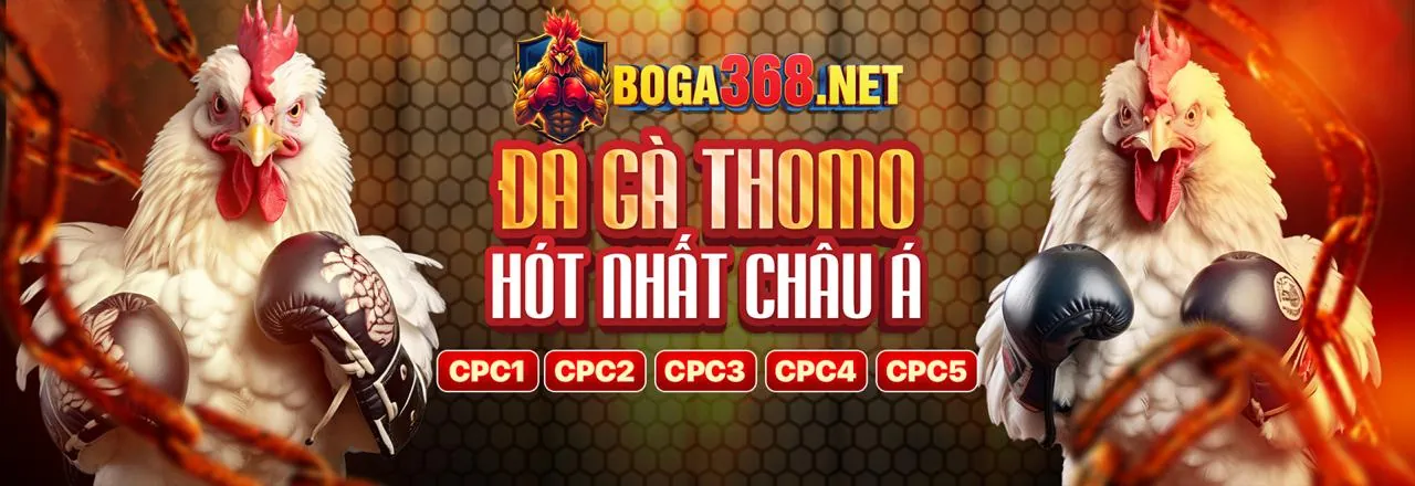 Cá cược tennis S88